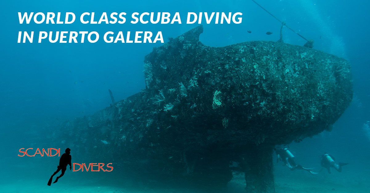 Puerto Galera Dive Sites Puerto Galera Dive Sites